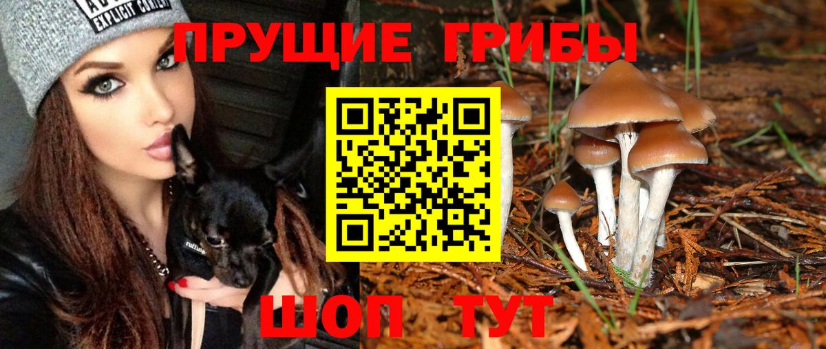 Галлюциногенные грибы Magic Shrooms Ревда